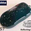CS57 Reflecting Pond - Aikka Old School